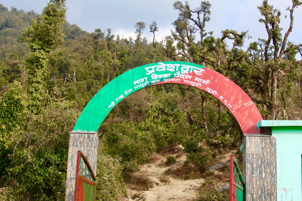 Entry point of Forest Department, from where the trek becomes steeper