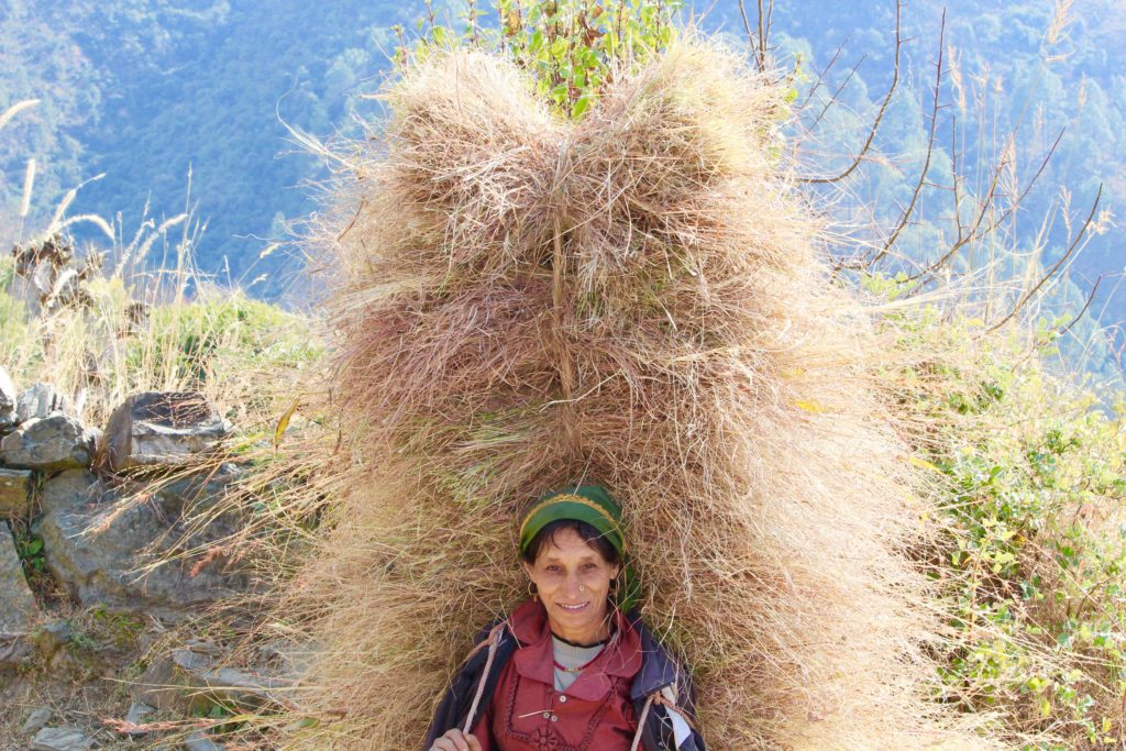 A contented villager on the way to Nag Tibba Trek