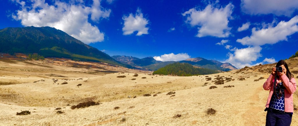 View of the Phobjikha valley from Gangtey nature trail