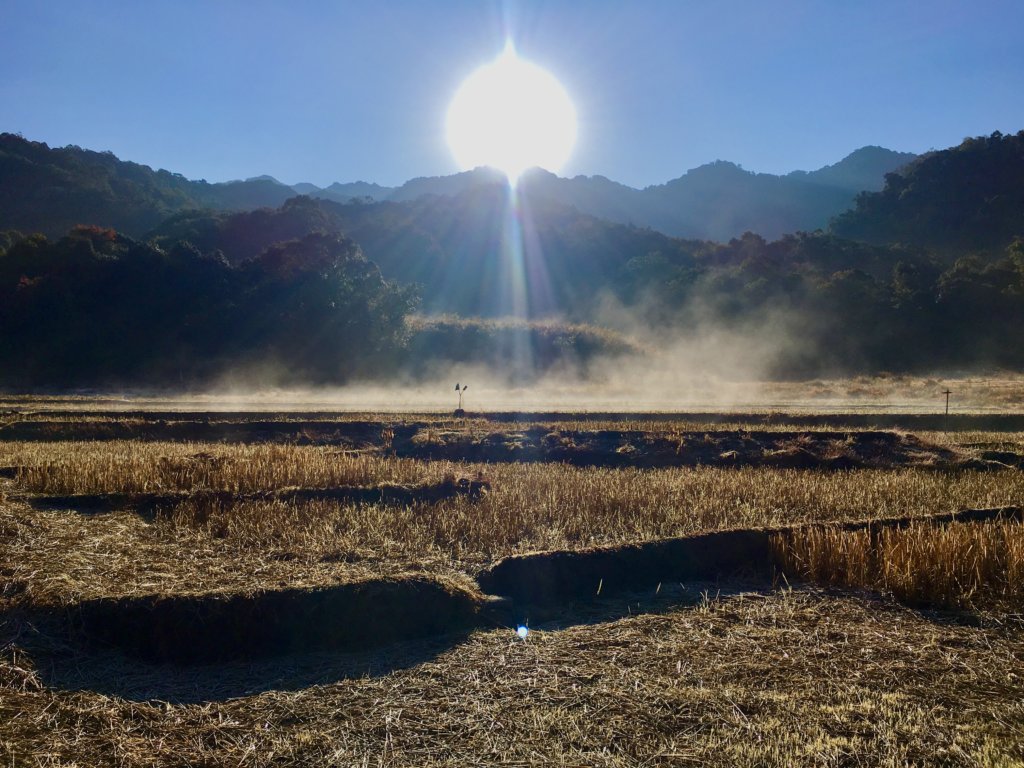 Paddy fields in Dzuleke